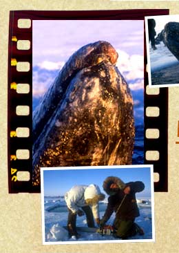 Annual Report Photography